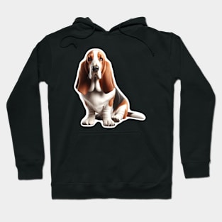 Basset Hound Hoodie